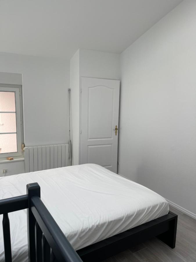 Апартаменты Nancy Hypercentre 34 Rue Des Dominicains ! Экстерьер фото