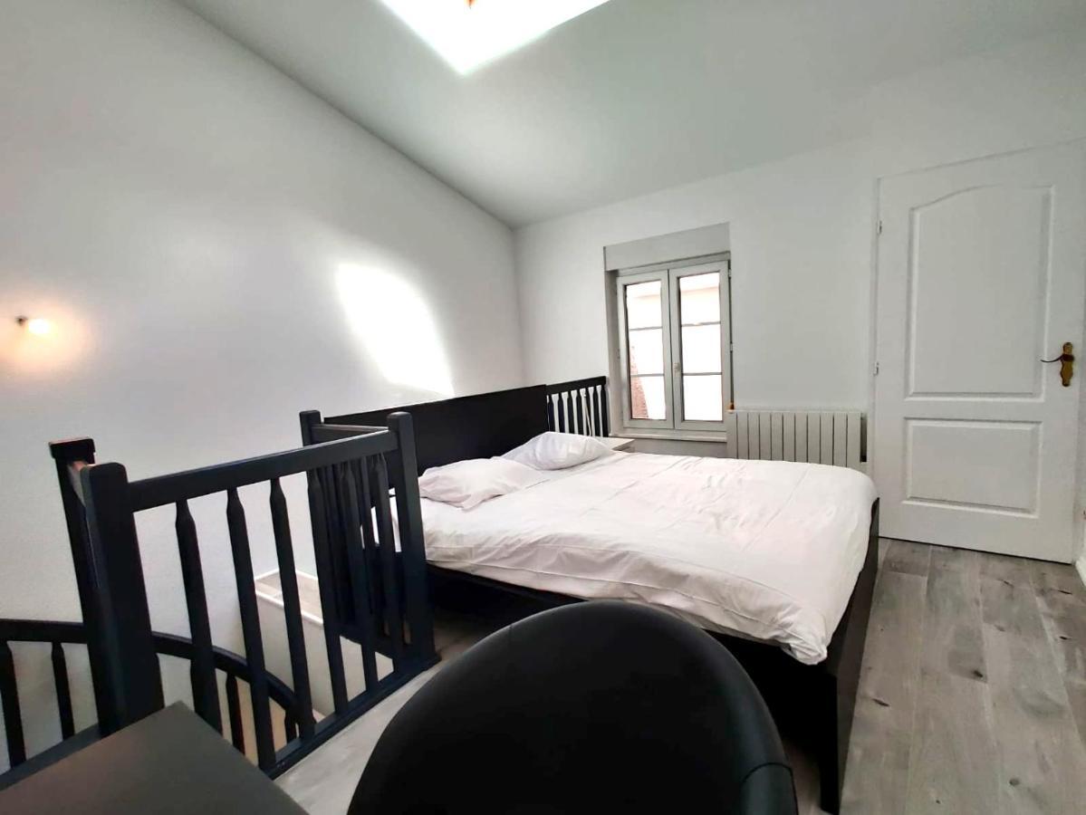 Апартаменты Nancy Hypercentre 34 Rue Des Dominicains ! Экстерьер фото